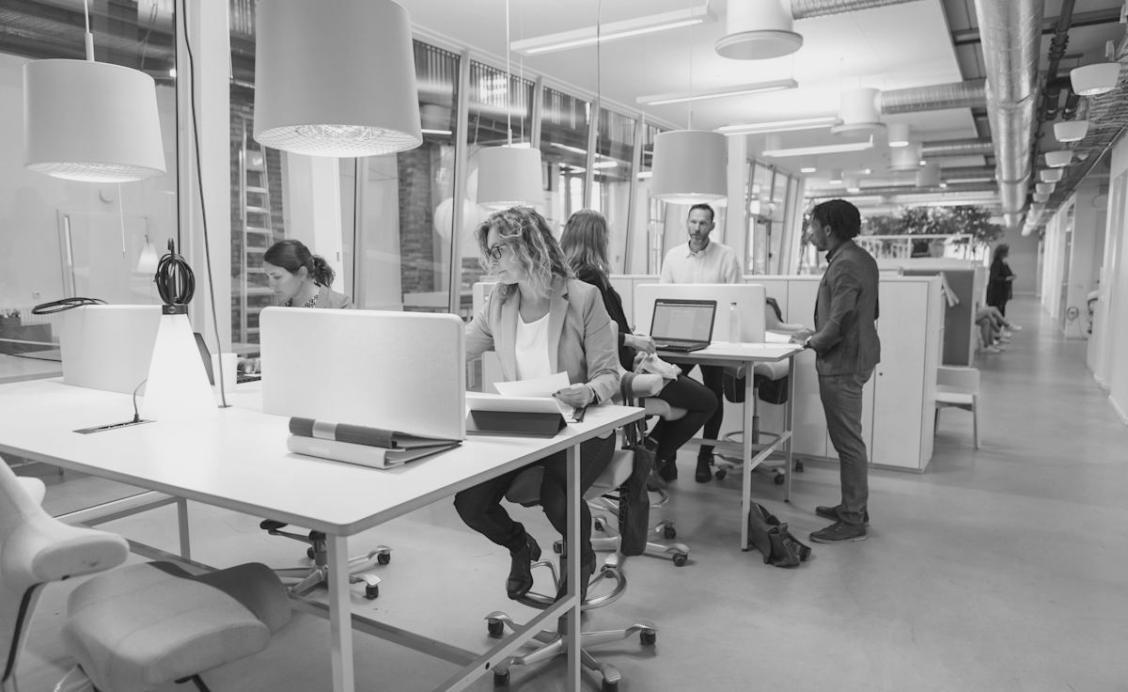 Gemeinsame Entwicklung von Finanzstrategien